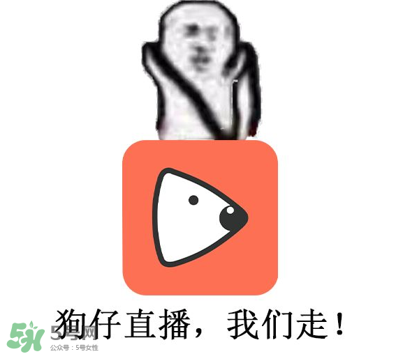 黃鱔為什么火了？黃鱔我們走為什么火了？