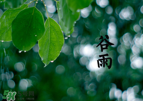2017年谷雨是幾月幾號(hào)？2017年谷雨是哪一天？