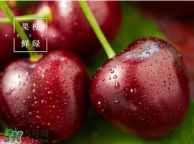 美早櫻桃多少錢一斤？美早櫻桃多少錢一斤2017？