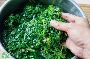 薺菜怎么腌制？薺菜的腌制方法