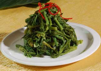 蕨菜什么人不能吃？哪些人不能吃蕨菜？