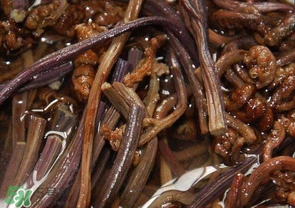 蕨菜能吃嗎？蕨菜可以吃嗎？