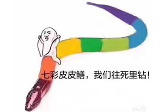七彩皮皮鱔我們往死里鉆是什么意思？七彩皮皮鱔我們?nèi)€好地方是什么意思？
