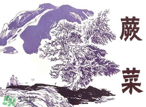 吃蕨菜會過敏嗎？皮膚過敏能吃蕨菜嗎？