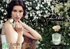 dolce gabanna香水哪款好聞？DG杜嘉班納香水推薦