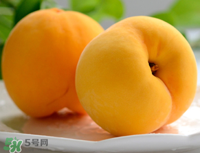 黃桃為什么那么貴？黃桃為什么這么貴？