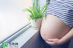 孕婦可以做美甲嗎？美甲對(duì)孕婦有什么影響？