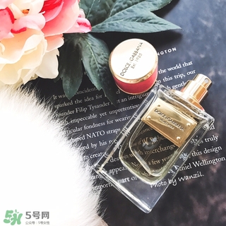 dolce gabanna香水哪款好聞？DG杜嘉班納香水推薦