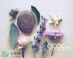 2017固體香膏哪個牌子好？2017固定香膏排行榜