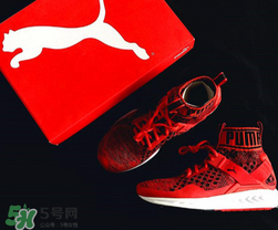 puma襪子鞋尺碼怎么選？彪馬襪套鞋尺碼對照表