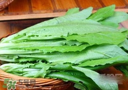 油麥菜糖尿病能吃嗎？糖尿病能吃油麥菜嗎？