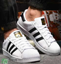 adidas貝殼頭正品多少錢？阿迪達(dá)斯貝殼頭鞋專柜價格