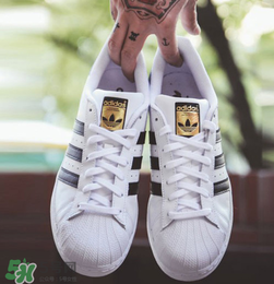 adidas貝殼頭正品多少錢？阿迪達(dá)斯貝殼頭鞋專柜價格