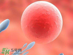 捐20顆卵子會(huì)怎么樣？捐20顆卵子有什么后果？
