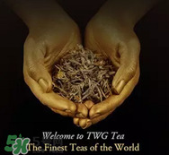 twg茶哪個最經(jīng)典？twg茶葉哪個好喝？