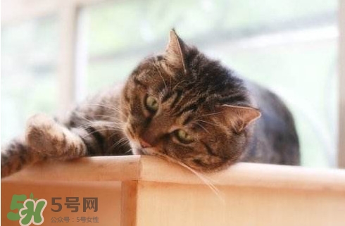 為什么身體總是覺得累？總是覺得累是怎么回事
