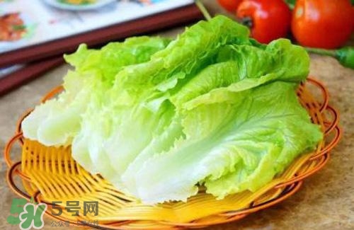 生菜可以放冰箱嗎？生菜可以放冰箱多久？