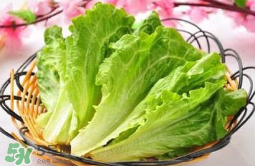 生菜可以放冰箱嗎？生菜可以放冰箱多久？