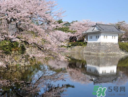 5月份去日本穿什么？五月份去日本穿什么衣服？