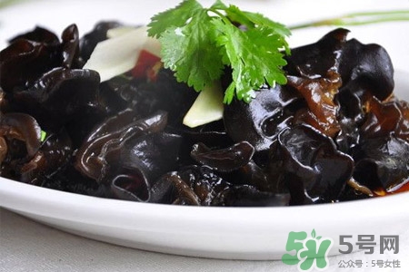 黑木耳可以隔夜吃嗎？黑木耳能過夜吃嗎？