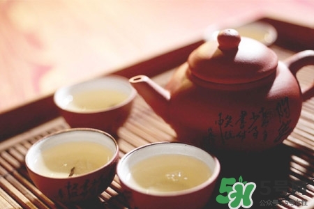 普洱茶煮著喝好不好？普洱茶煮好還是泡好？