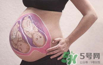 妊娠線看可以看胎兒性別嗎？妊娠線看可以男女嗎？