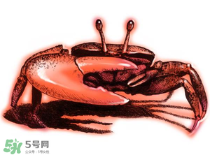 五月份可以吃螃蟹嗎？5月份可以吃螃蟹嗎？