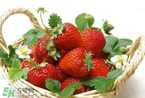 五月份還有草莓嗎？5月份還有草莓嗎？