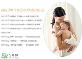 貝拉米米粉怎么吃？貝拉米米粉的吃法