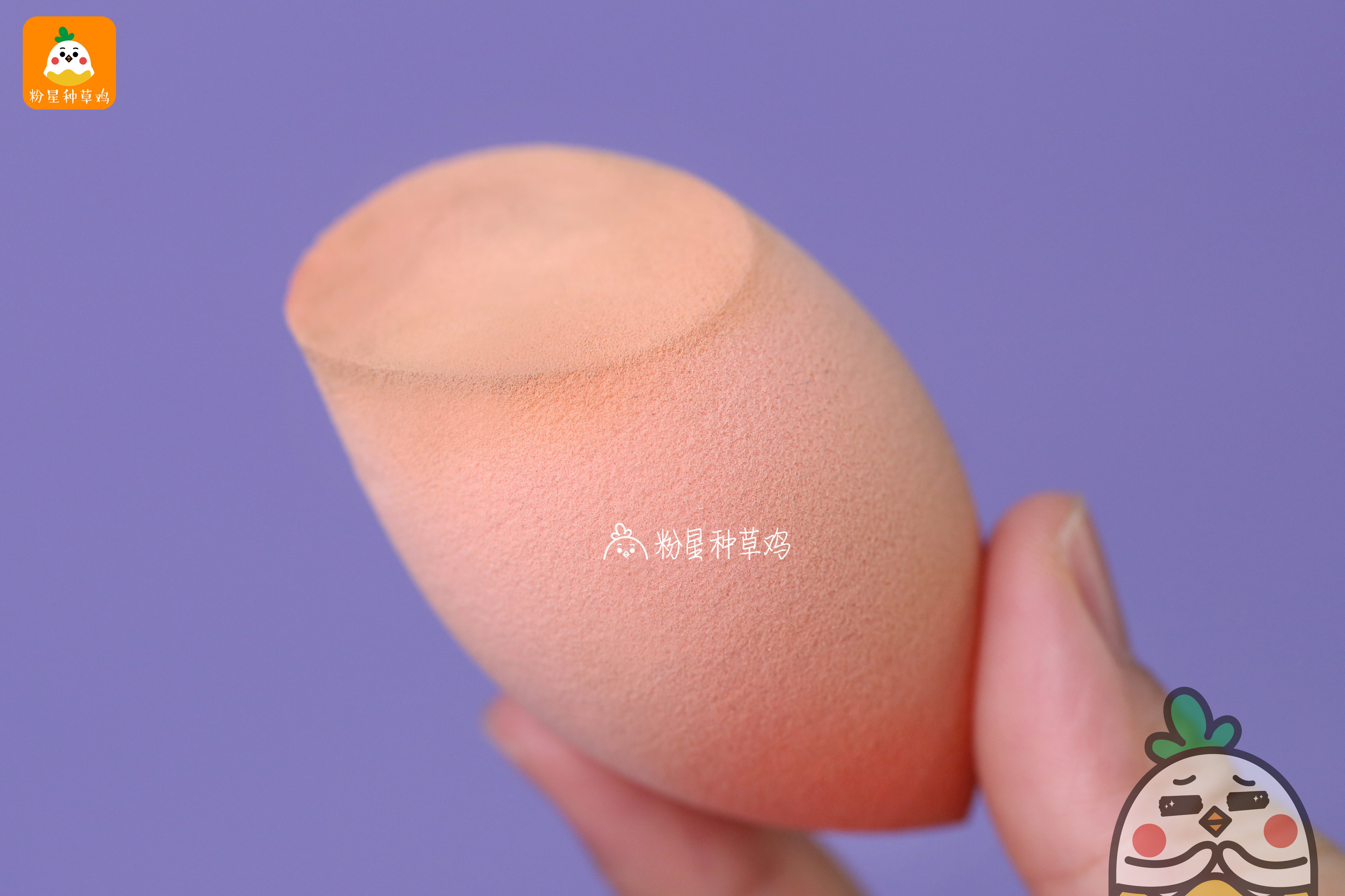 beauty blender美妝蛋和rt美妝蛋哪個(gè)好？