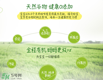 禧貝米粉二段味道怎么樣？禧貝米粉二段味道如何？
