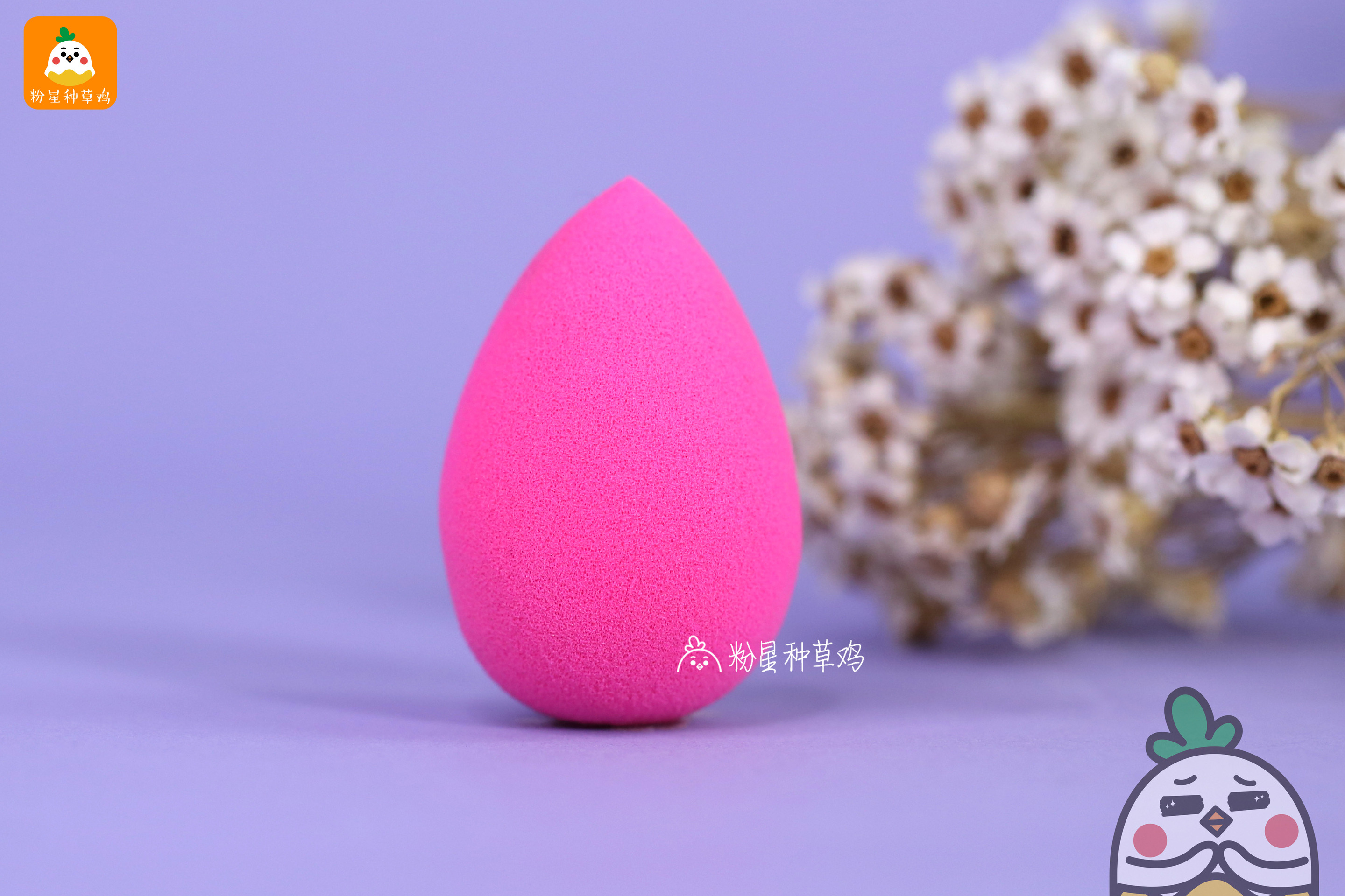 beauty blender美妝蛋和rt美妝蛋哪個(gè)好？
