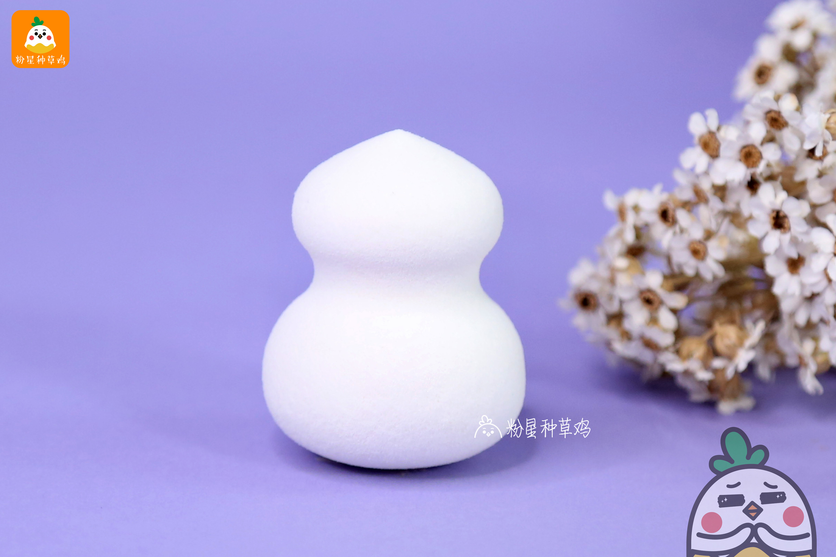 beauty blender美妝蛋和rt美妝蛋哪個(gè)好？