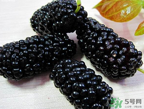 吃桑葚會(huì)拉黑便嗎？吃桑葚大便黑色怎么回事？