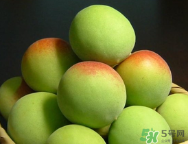 青梅什么時候成熟？青梅幾月份成熟？