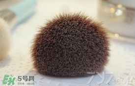 受受狼是哪個國家的？受受狼化妝刷推薦