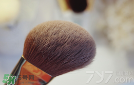受受狼是哪個國家的？受受狼化妝刷推薦