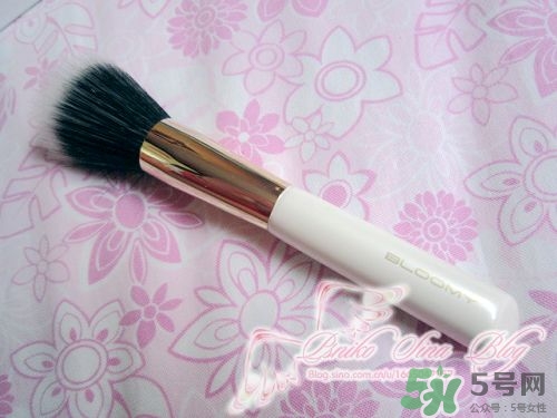 bloomy老爺家化妝刷哪款好？bloomy化妝刷推薦