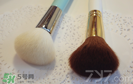 受受狼是哪個國家的？受受狼化妝刷推薦