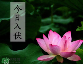 2017年頭伏是哪一天？2017年什么時候入伏？
