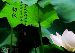 2017年頭伏是哪一天？2017年什么時候入伏？