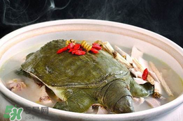 懷孕初期能吃甲魚嗎？懷孕初期可以吃甲魚嗎？