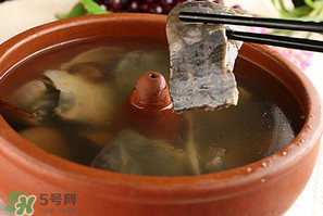 懷孕初期能吃甲魚嗎？懷孕初期可以吃甲魚嗎？