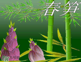 春筍多少錢一斤？春筍多少錢一斤2017？