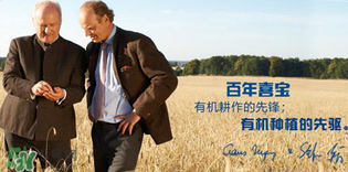 喜寶米粉怎么樣？喜寶米粉如何？