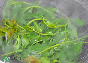 香椿為什么要焯水？香椿怎么焯水？