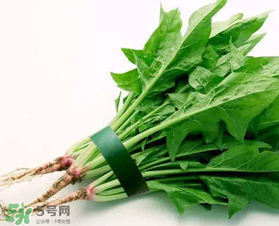孕婦可以吃菠菜嗎？孕婦菠菜吃多了會怎樣？
