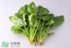 孕婦可以吃菠菜嗎？孕婦菠菜吃多了會怎樣？