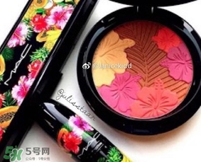 mac2017夏季fruity juicy系列有哪些？