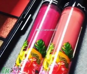 mac2017夏季fruity juicy系列有哪些？